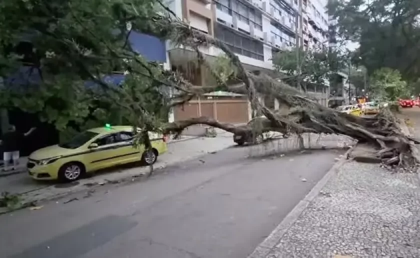 Captura-de-tela-2026-07-29-171425.jpg
