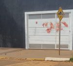 IMG_20250905_094545