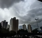 Novo-Projeto-488