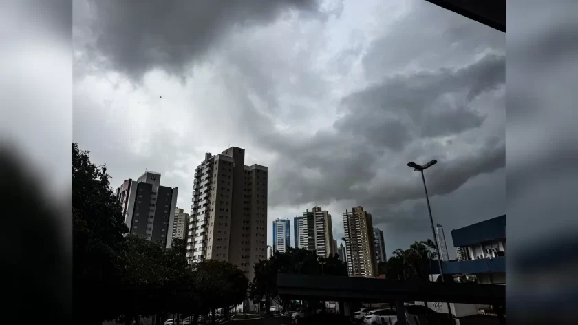 Novo-Projeto-488