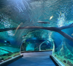 bioparque