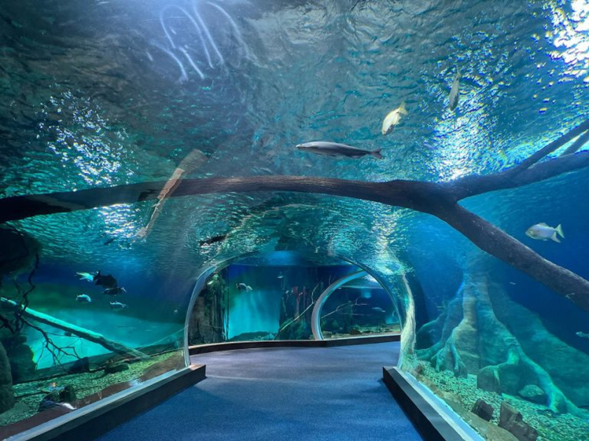 bioparque