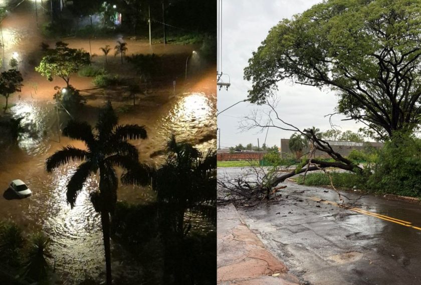 canva-2025-11-13t075101.178