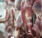 carne-empregos-730x480
