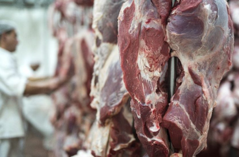 carne-empregos-730x480