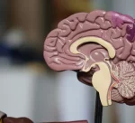 cerebro-lesoes-personalidade