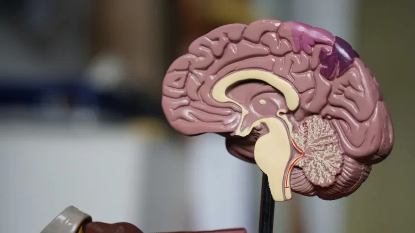 cerebro-lesoes-personalidade