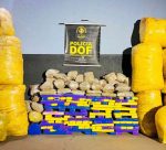 dof