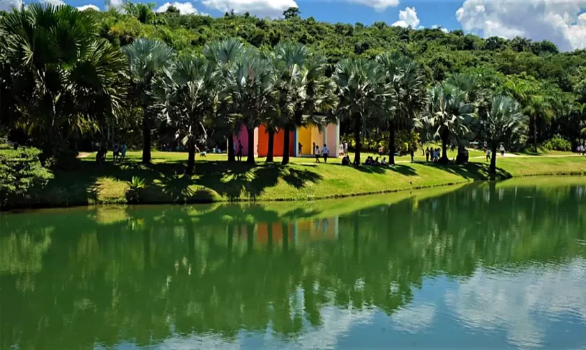 instituto_inhotim_0