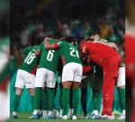 palmeiras.jpg