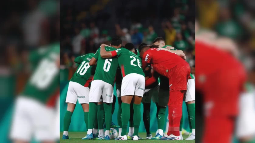 palmeiras.jpg