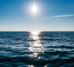 sea-1836480