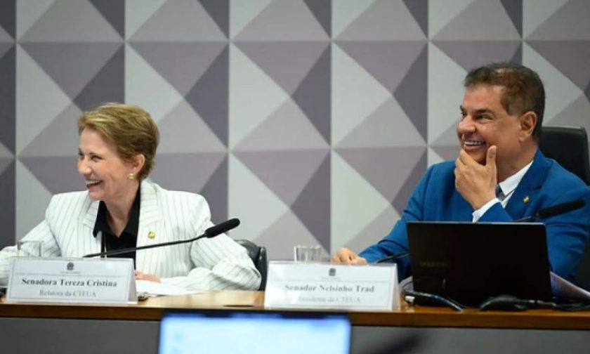 senadores-ms