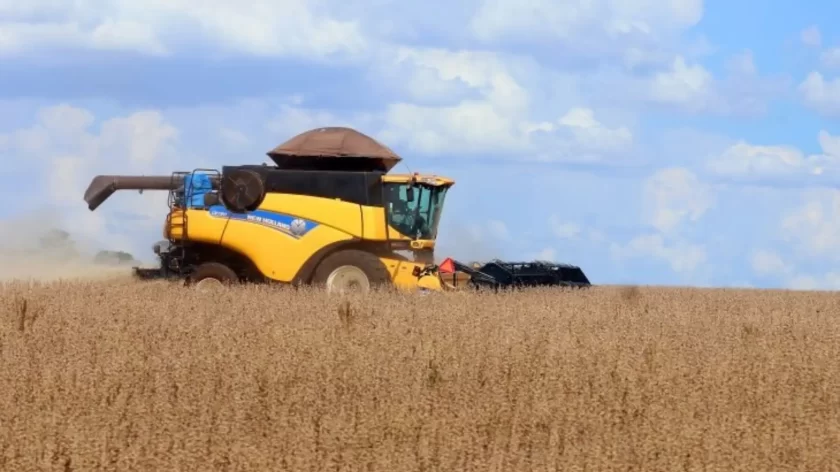 soja-agronegocio-agro-mato-grosso-do-sul.jpg