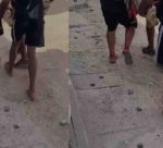 tubarao