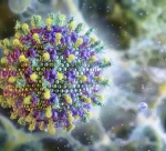 virus-nipah-e1769515319494